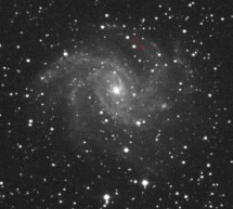 رصد ابرنواختر نوظهور در کهکشان NGC6946 با ابزارهای کوچک