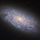 تصویر هابل از کهکشان کوتوله مارپیچی شکلی در نزدیکی ما