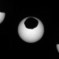 کاوشگر کنجکاوی تصاویر خورشید گرفتگی در مریخ را ثبت کرد